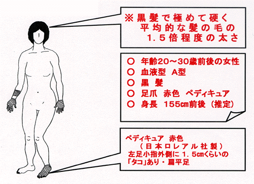 黒髪で極めて硬く平均的な髪の毛の1.5倍程度の太さ 年齢20から30歳前後の女性 血液型A型 黒髪 足爪赤色ペディキュア 身長155センチメートル前後(推定) ペディキュア(日本ロレアル社製) 左足小指外側に1.5センチメートルくらいのタコあり 偏平足